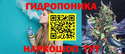 мет Можга