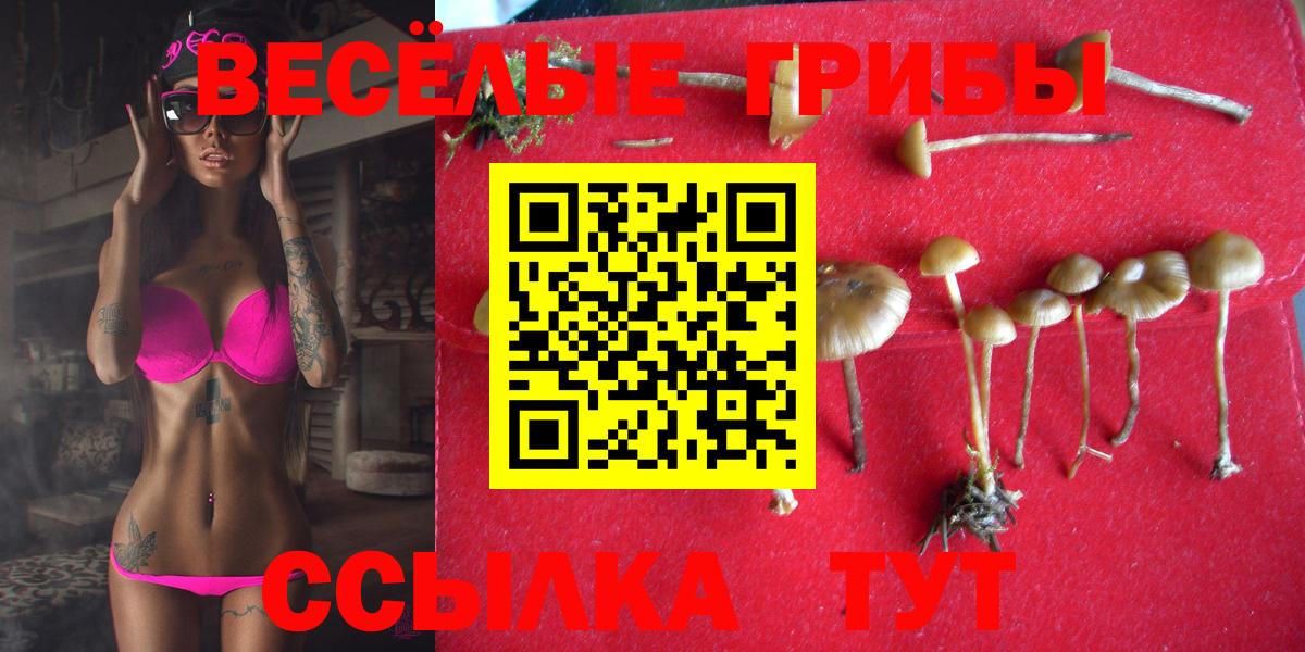 Псилоцибиновые грибы мухоморы Волжский